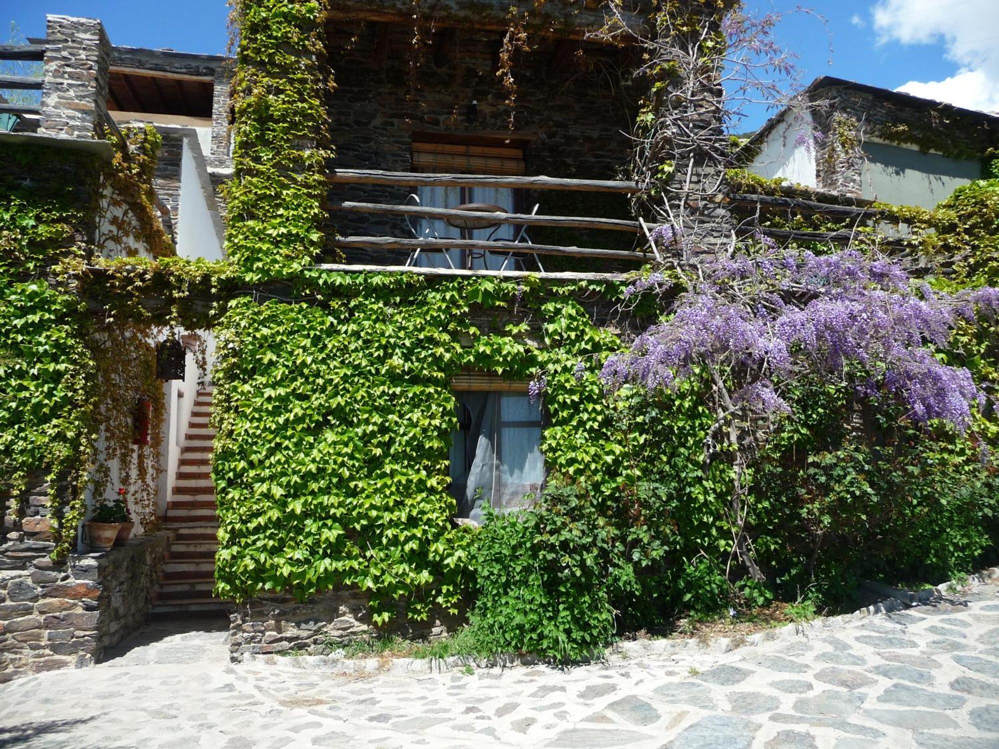 Casa Rural Catifalarga Alpujarra Capileira Eksteriør billede