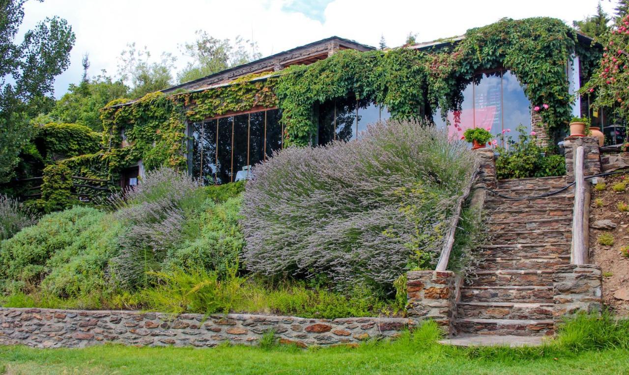 Casa Rural Catifalarga Alpujarra Capileira Eksteriør billede
