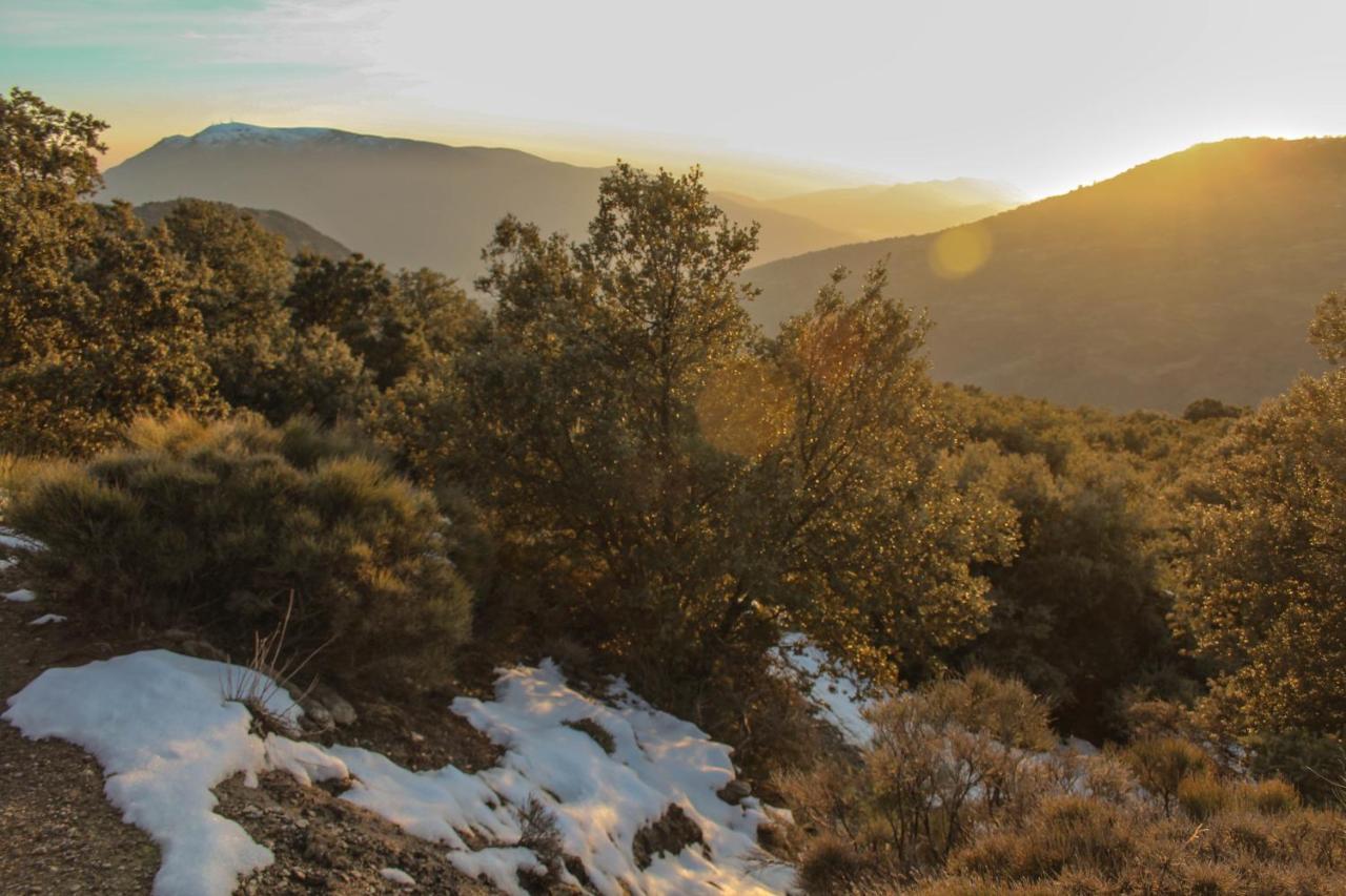 Casa Rural Catifalarga Alpujarra Capileira Eksteriør billede